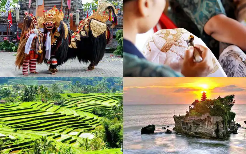 full day tour packages full day tour packages
